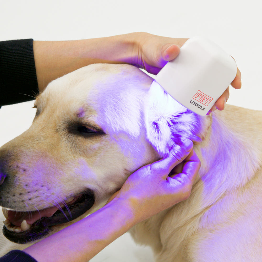 Litools LED Pet block
